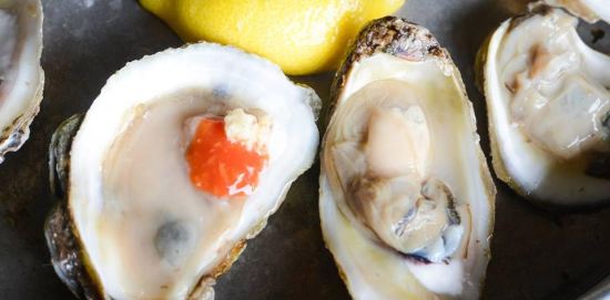 hob more oysters yum.jpg